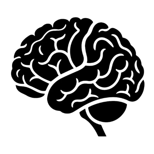 Brain
